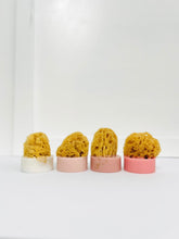 February 07 at 2pm | Sea Sponge Soap Making Workshop