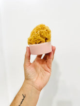 February 07 at 2pm | Sea Sponge Soap Making Workshop