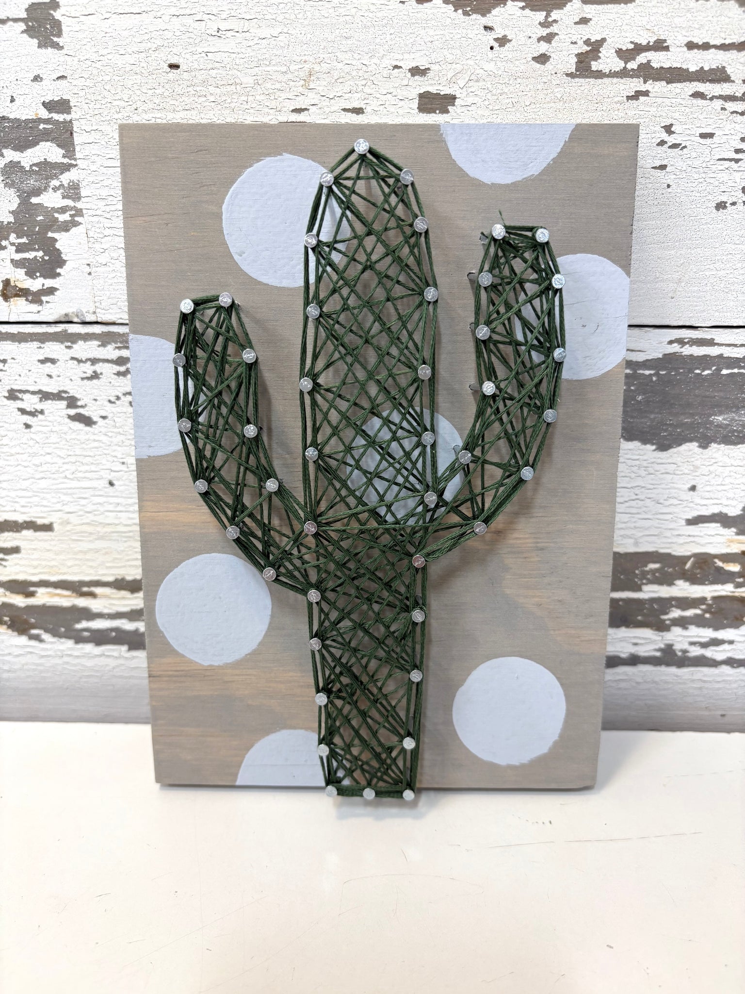 succulent string art String Art
